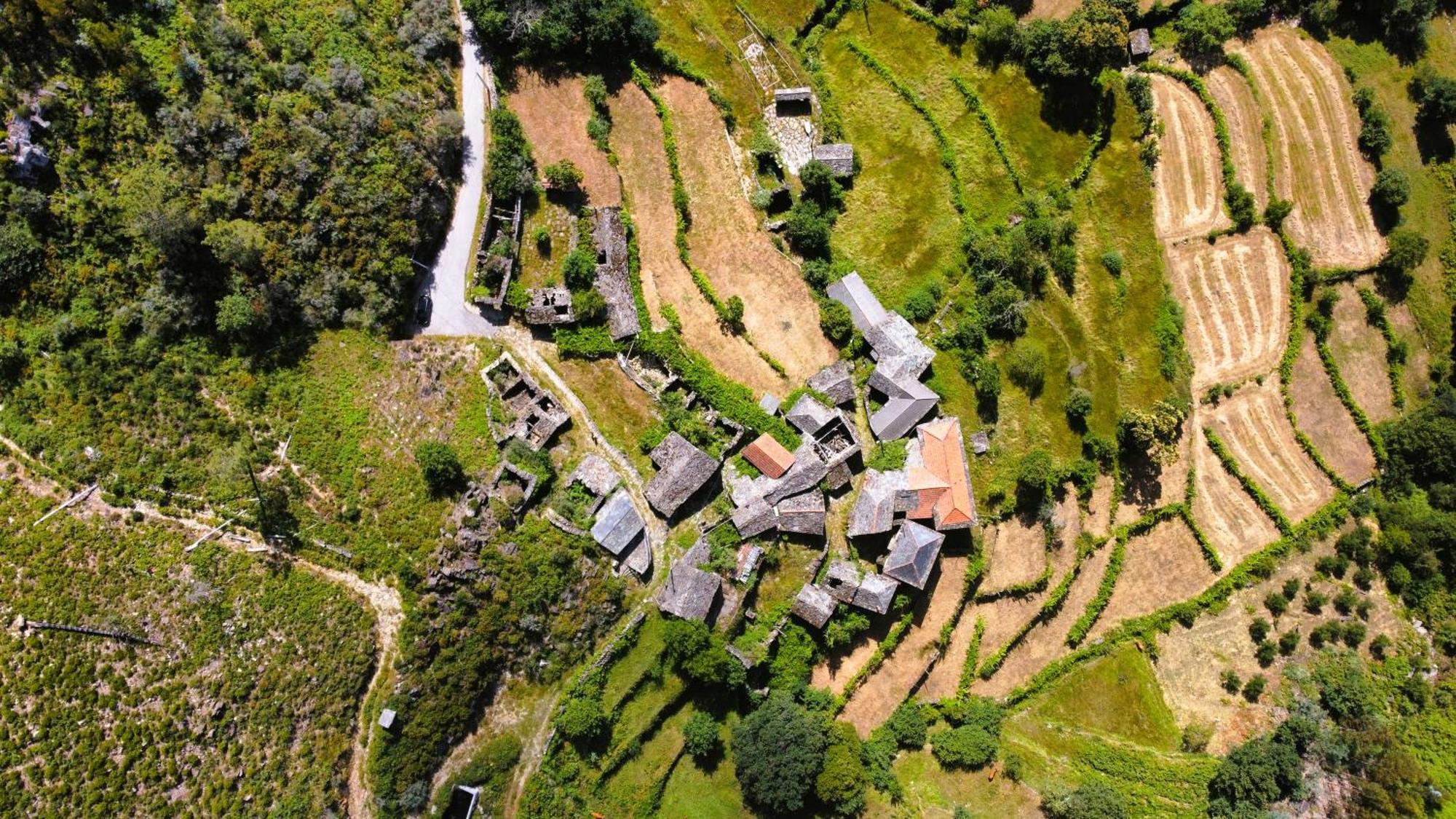 Bed and Breakfast Vila Nazare Castro Daire Zewnętrze zdjęcie